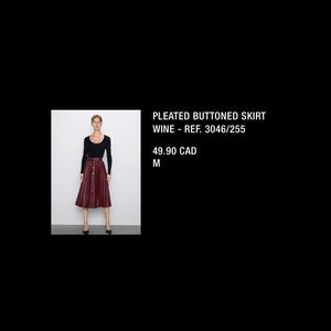 Zara Pleated Skirt A/W 19/20